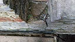 acastle 164910.jpg